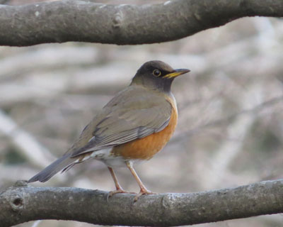 �o�������A�J�n��