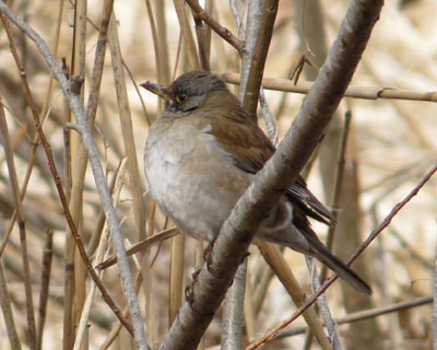 �k�ނƏ������ۂ��V���n��