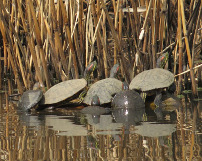 ���l�ɓo�낤�Ƃ���J��