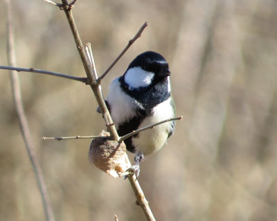 �I�I�J�}�L�������������V�W���E�J��