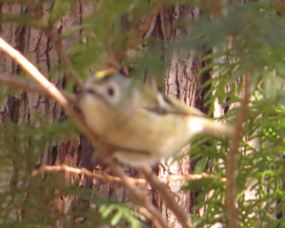 �����ƖZ�����L�N�C�^�_�L�E�E�E