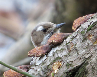 �����������@��R�Q��