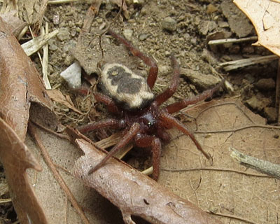 �q���^�O������