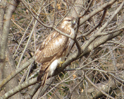 �e�̂���m�X��