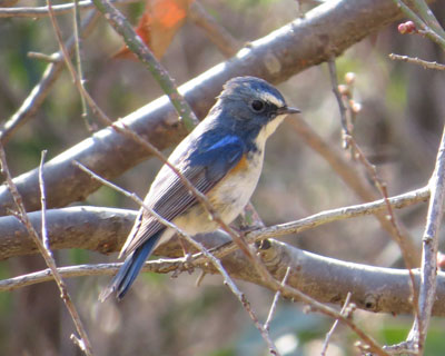 ��u���������Ȃ�����������