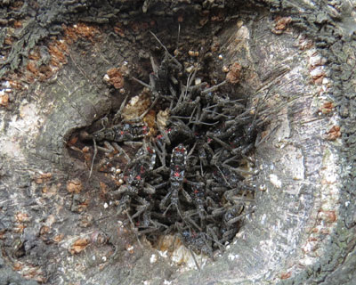 �����̗����͕����ۂ��Ȃ��Ă�