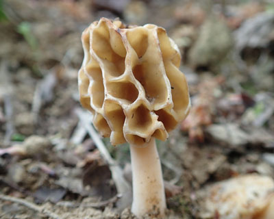 �A�~�K�T�^�P��������