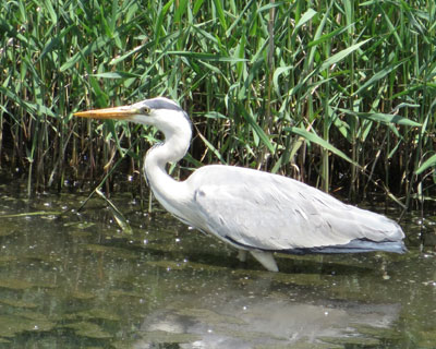 ��N�������Ȃ�