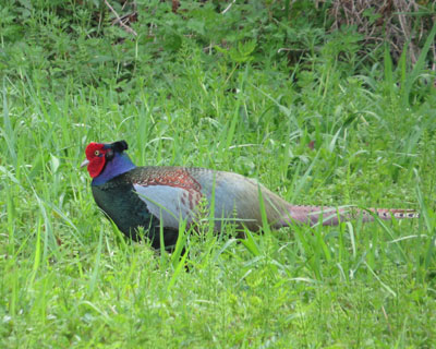 �L�W������