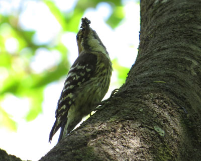 �R�Q�����Z����