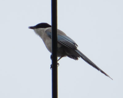 �I�i�K��������