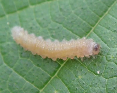 ������n�o�`