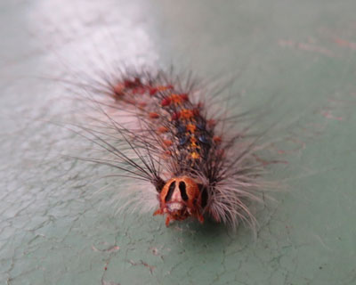 ��������}�C�}�C�K