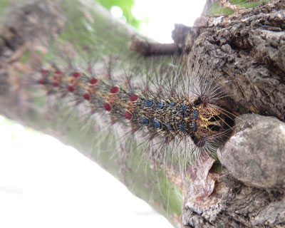 ���N�͑����H