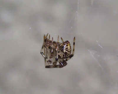 �I�I�q���O������