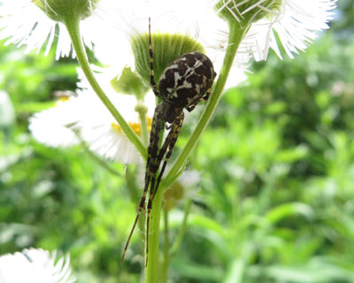 �^�R���ۂ��N��