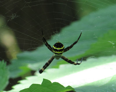 �w�ɂȂ�R�K�l�O��