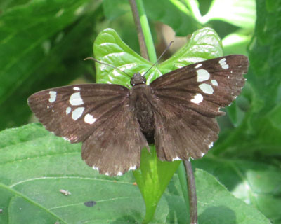 �؂̂Ȃ��_�C�~���E�Z�Z��