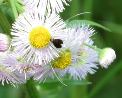 �q�Q����������