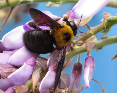 ���낱��N�}�o�`