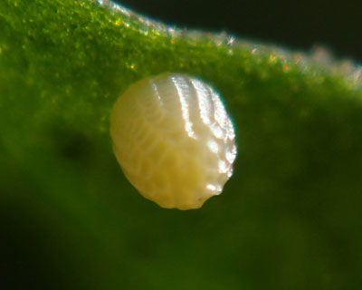 �c�}�O����