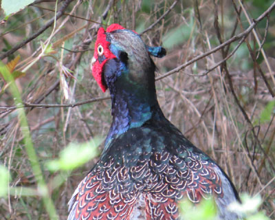 �㓪������