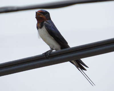 �V��j���f�J��