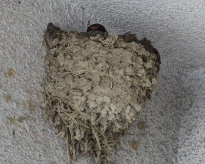 �����Ƃ�