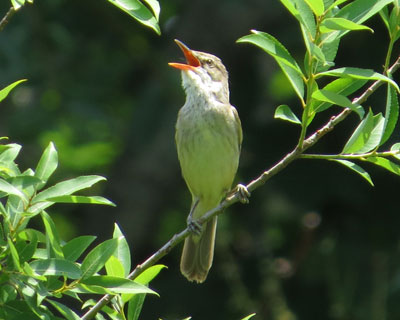 ���o���ڂŖ��܂���