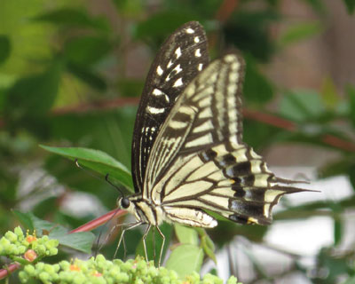 ���������A�Q�n