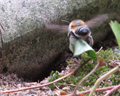 �������Ɨt���ς��^�э���