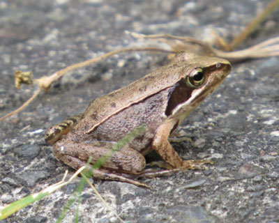 ������������j�z���A�J�K�G��