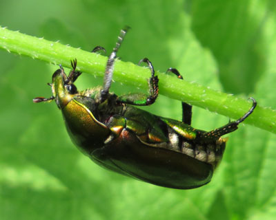 �݂�����b��