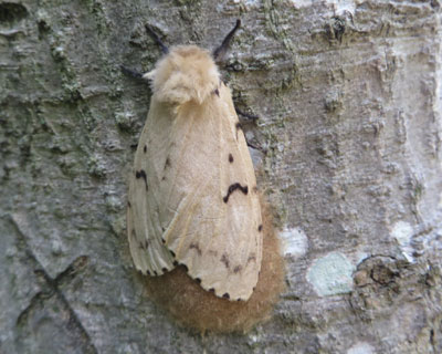 �Y���}�C�}�C�K