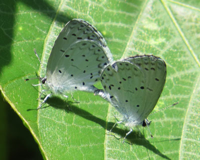 �E���������郋���V�W�~