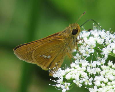 �C�`�����W�Z�Z�������