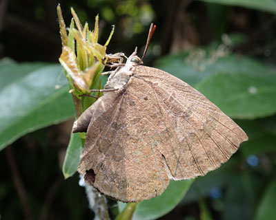 ���͒n���߂���