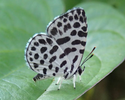 ���킢���S�C�V�V�W�~