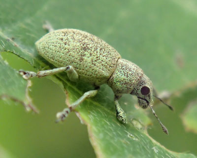 ���������R�t�L�]�E���V