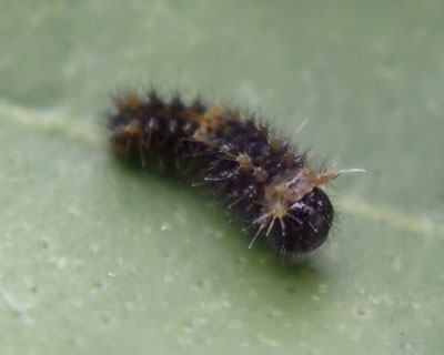 �������������A�Q�n�c��