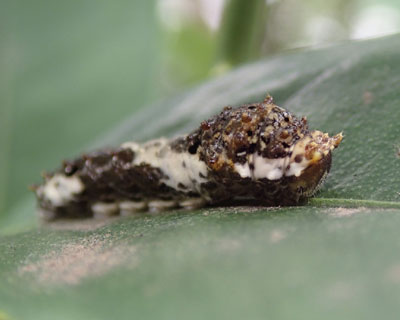 ���񂾂�����