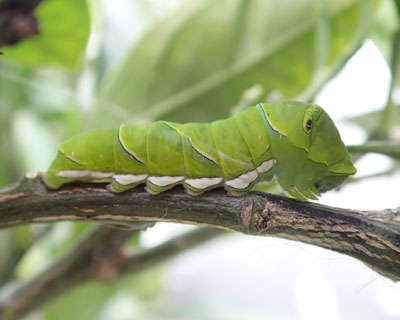 ����ƏI��ɂȂ����Ǝv������