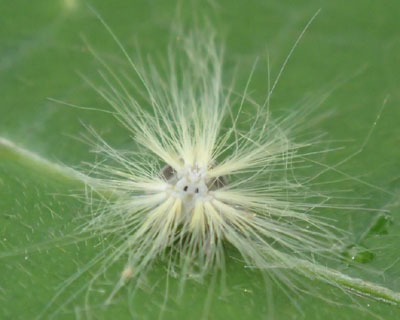 �K���u�^�@