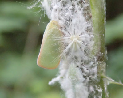 �A�I�o�n�S����