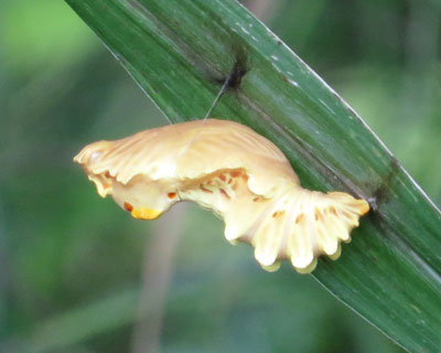 匂͊C�Y���ۂ�