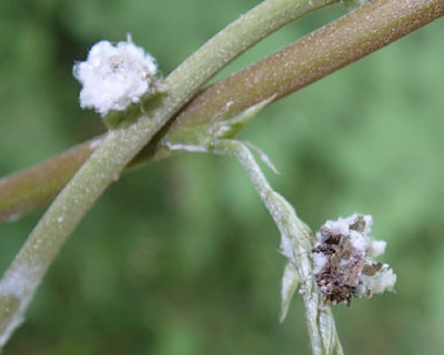 �S�~�t���N�T�J�Q���E�c��