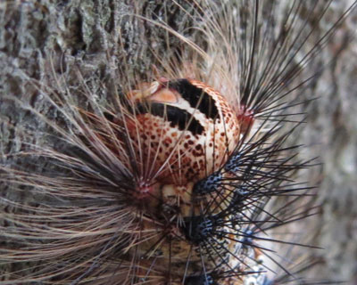 ����������