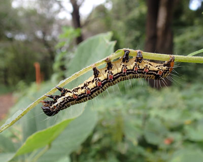 �����Ă��������t�N���X�Y��