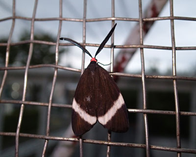 �z�^���K��