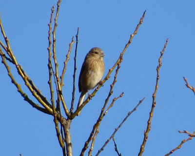 ��������x�j�}�V�q